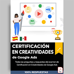 respuestas-certificación-en-creatividades-de-google-ads-zizqo-lima-badget